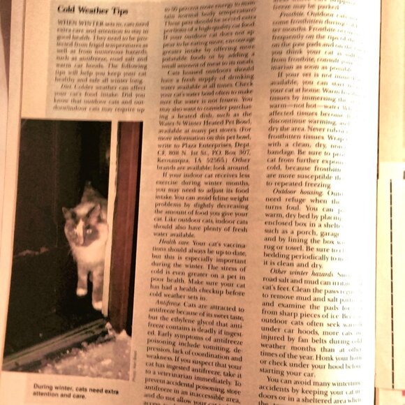 Cat Fancy Magazine Vintage January 1991 - Picture 6 of 9